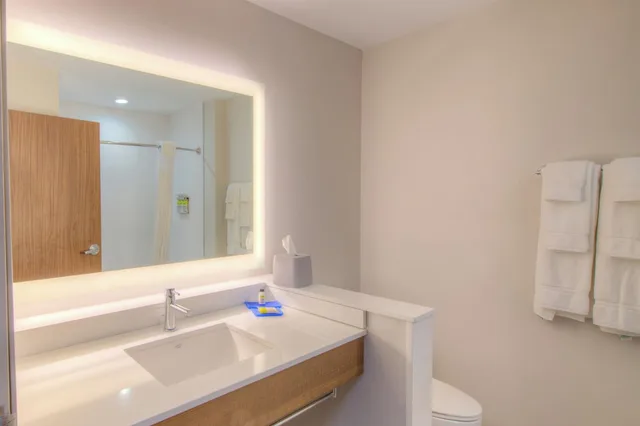 جناح بسرير كينج مع أريكة لذوي الإعاقة، Holiday Inn Express & Suites Remington 3/4