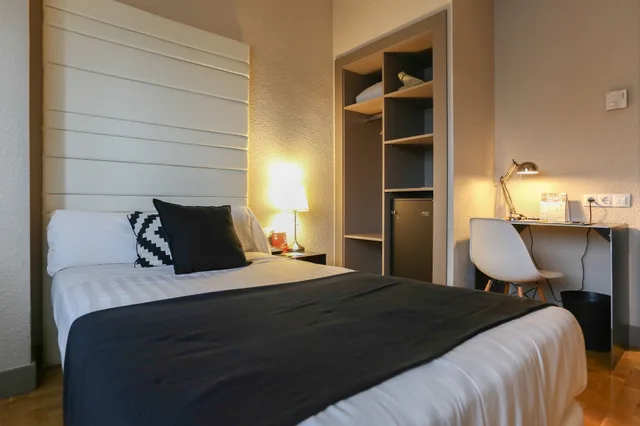 غرفة قياسية بسريرين منفصلين، Hotel Sercotel Leyre 3/10