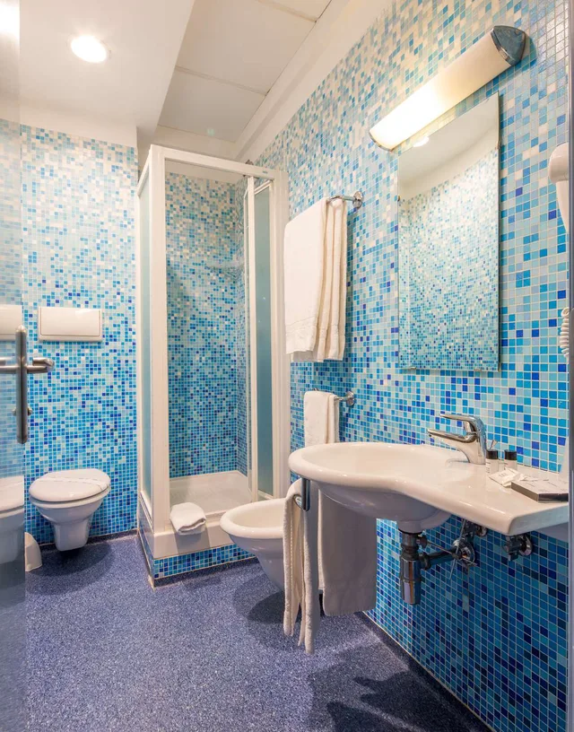 Super, Twin Beds، Best Western Plus Hotel Plaza 6/6