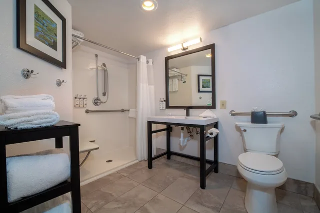 Room, King Bed, Tower One, Accessible، Holiday Inn Estes Park 4/4