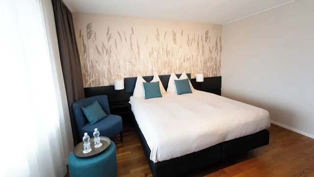 Standard, King Bed, Hotel Illuster 6/8