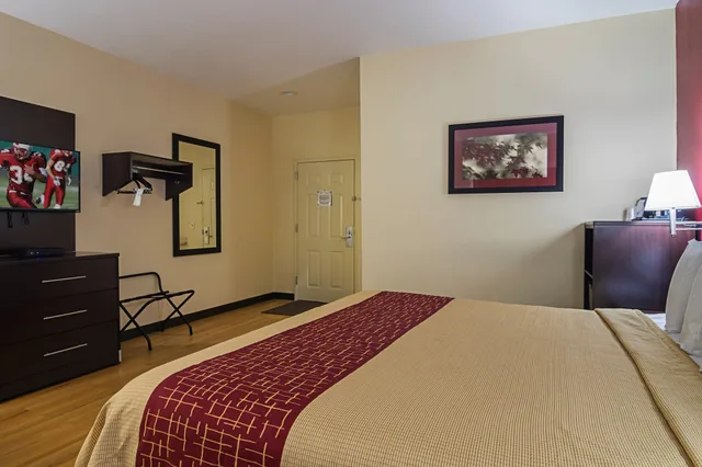 Superior, King Bed, Red Roof Inn & Suites Lake Orion/Auburn Hills 1/8