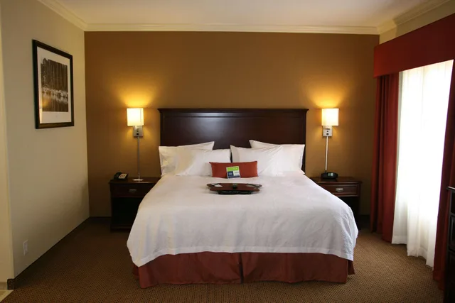 جناح استوديو بسرير كينج مع أريكة، Hampton Inn And Suites Lanett West Point 1/4
