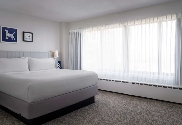 جناح لذوي الإعاقة، Sonesta ES Suites Chicago Downtown Magnificent Mile 1/3