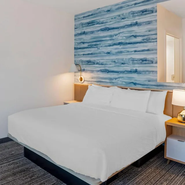 استوديو بسرير كينج مع أريكة لذوي الإعاقة، TownePlace Suites by Marriott Richmond Colonial Heights 1/10