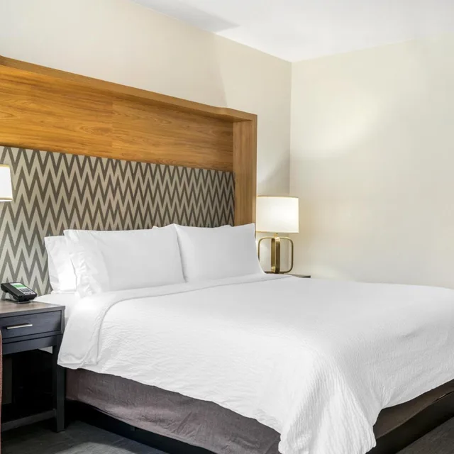 غرفة بسرير كينج مع أريكة، Holiday Inn Orlando Intl Drive - Conv Center 9/10