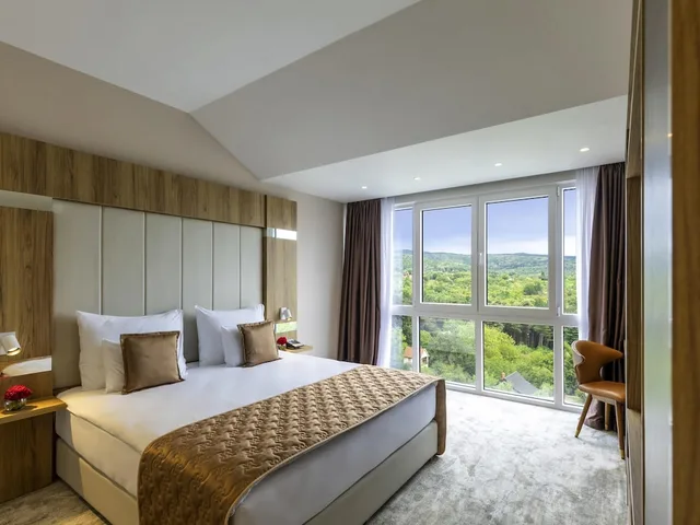 جناح سوبيريور بسرير كينج بشرفة، Movenpick Resort and Spa Fruske Terme 1/3