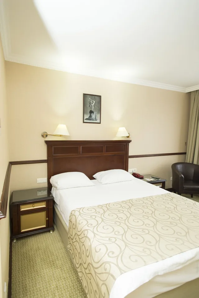 غرفة قياسية بسرير مزدوج، Topkapi Inter Istanbul Hotel 3/10