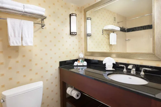 غرفة بزنس بسريرين مزدوجين في طابق مرتفع، Hilton Chicago OHare Airport 4/4