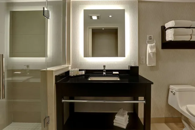 Suite, Queen Bed, Canadian Falls View، Embassy Suites By Hilton Niagara Falls Fallsview 3/3