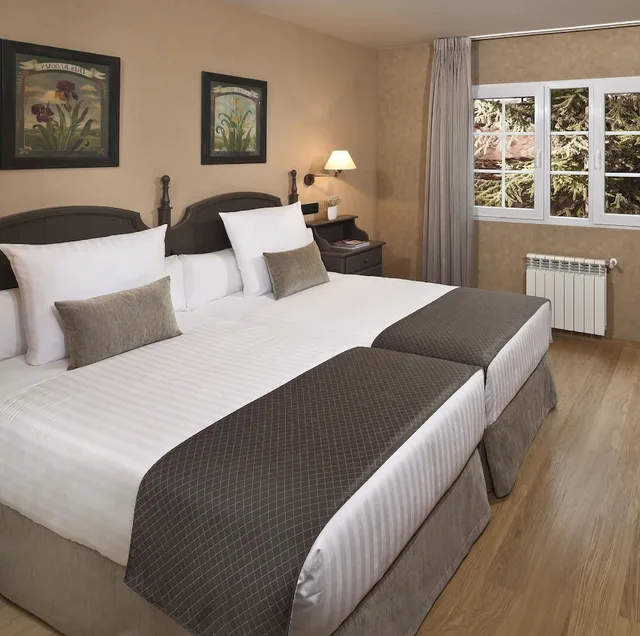 غرفة مفردة بسرير مزدوج، Melia Sierra Nevada 10/10