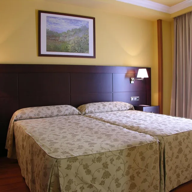 Room, Double Bed, with Extra Bed, Hotel Ii Castillas Avila 2/6
