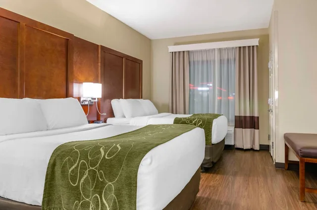 جناح بسريرين كوين يُسمح فيها بالحيوانات الأليفة، Comfort Suites Helena Airport 1/7