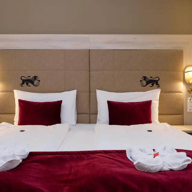 Top, Deluxe, Single Bed, with View، HOTEL ST GOTTHARD 5/10