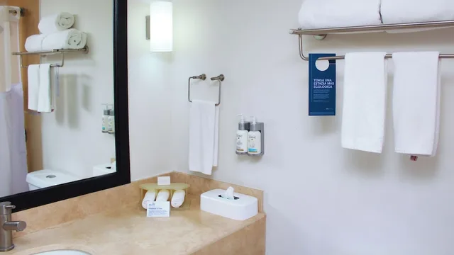 غرفة قياسية بسرير كينج لذوي الإعاقة، Holiday Inn Express Guaymas 6/6