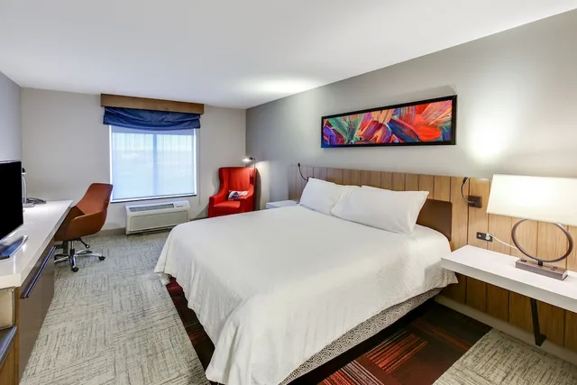 Evolution, King Bed, Hilton Garden Inn Ames 8/10