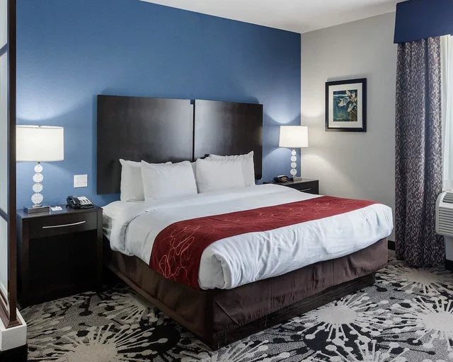 جناح بسريرين كوين، Comfort Suites Greenville 2/10