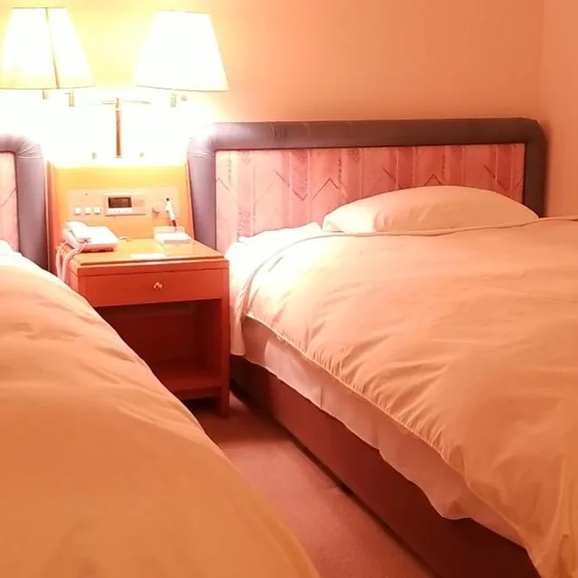 Deluxe, Single Bed, Hotel Grand Terrace Toyama 1/6