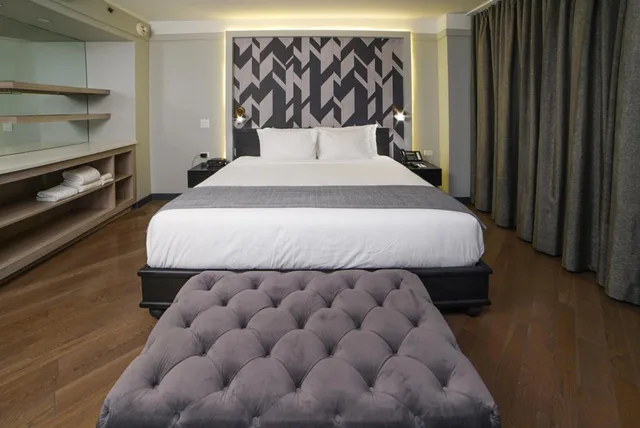 غرفة ديلوكس بسرير كينج، The Tillary Hotel Brooklyn 2/5