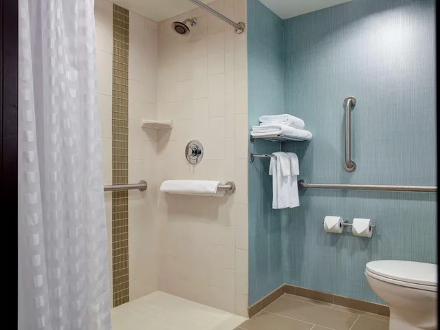 غرفة بسرير كينج مع أريكة لذوي الإعاقة، Hyatt Place Arlington/Courthouse Plaza 1/1