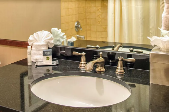غرفة سوبيريور بسرير كينج مع أريكة، Doubletree By Hilton Hotel Portland 3/3