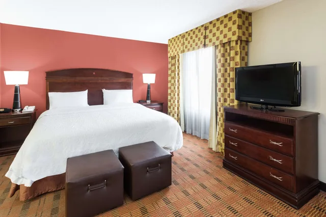 جناح استوديو بسرير كينج مع أريكة، Hampton Inn Moss Point Pascagoula 1/1