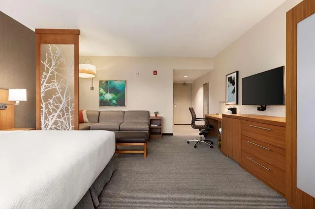 غرفة بسرير كينج مع أريكة بحوض استحمام لذوي الإعاقة، Hyatt Place Virginia Beach Town Center 1/2