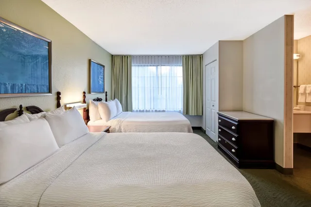 Pure, Suite, 2 Queen Beds, Sofa، Springhill Suites Atlanta Buford Mall of Georgia 6/10
