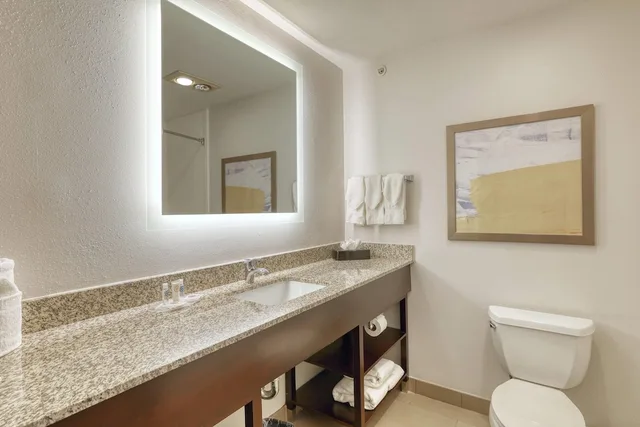 جناح رئاسي بسريرين كينج بغرفة نوم واحدة، COMFORT SUITES MILWAUKEE AIRPORT 7/10