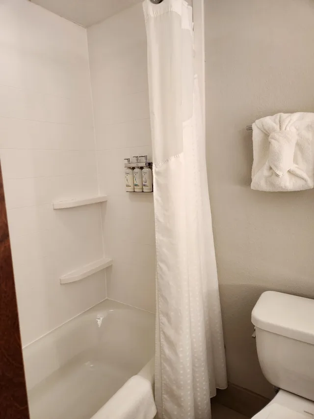 غرفة قياسية بسرير فردي، Holiday Inn Express Crystal River 1/1