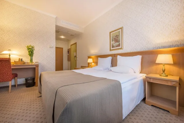 Room, Queen Bed, Balcony, Artis Centrum 5/8