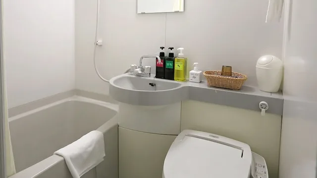 Room, Single, Hotel Annex Inn 18/18
