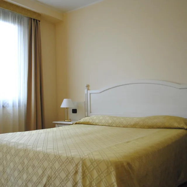 غرفة مفردة، International Hotel Iseo 1/10