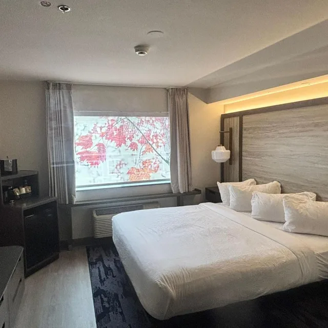استوديو بسرير كينج مع أريكة، Fairfield Inn And Suites Corpus Christi 1/4