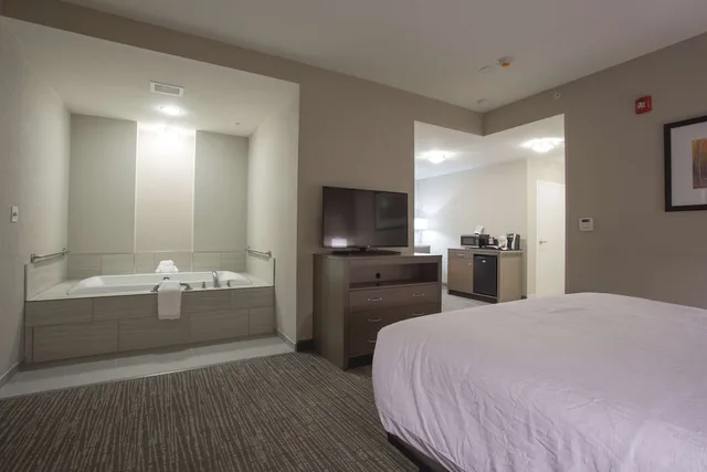 غرفة بسرير كينج بحوض جاكوزي لذوي الإعاقة، Hilton Garden Inn Bolingbrook I-55 2/6