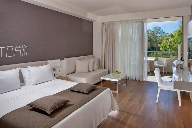 غرفة ديلوكس مفردة بسرير مزدوج، Avra Imperial Hotel 1/2