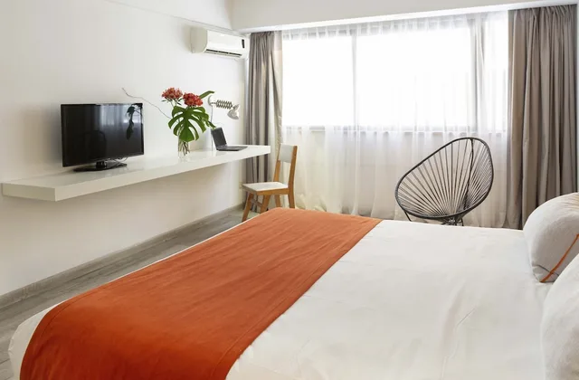 استوديو بسريرين منفصلين، DecO Recoleta Hotel 4/9