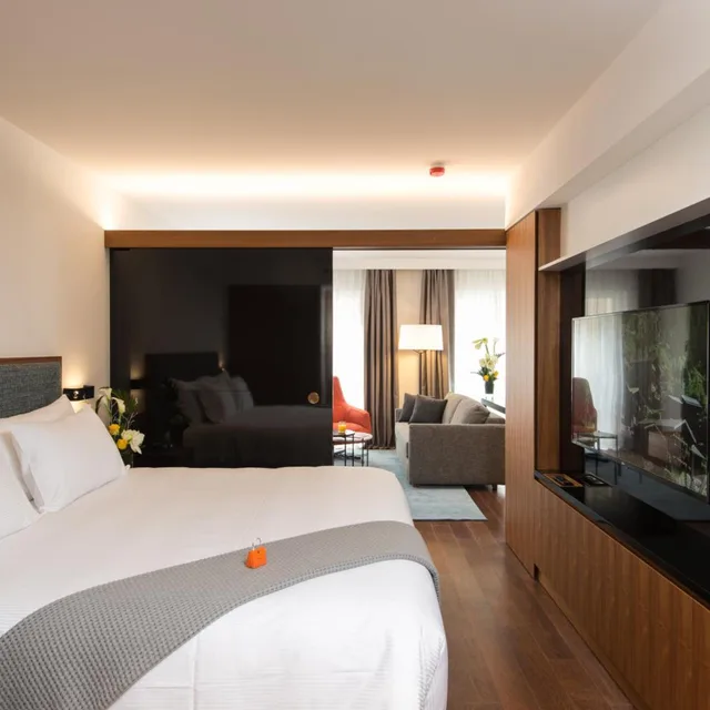 جناح بريميير مع أريكة، Fraser Suites Geneva 2/5
