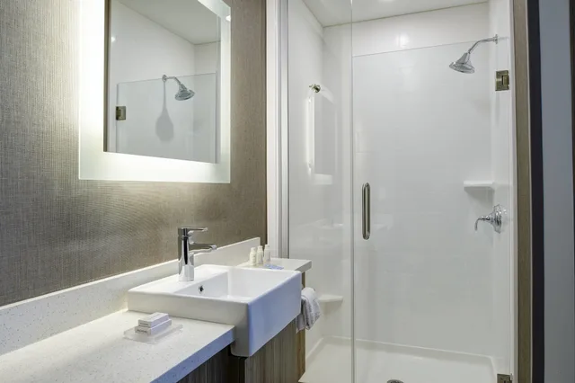 جناح بسرير كينج مع أريكة، Springhill Suites Grand Rapids West 3/5