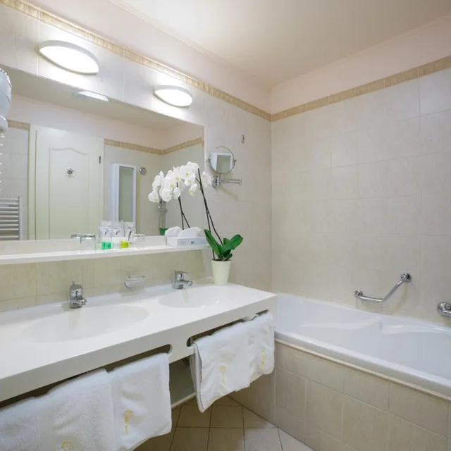 غرفة ديلوكس مفردة، Interhotel Central 2/2