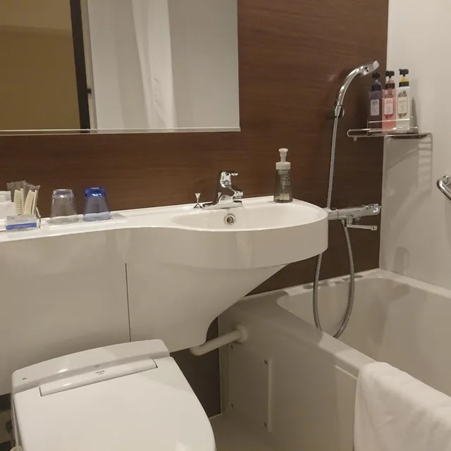 غرفة اقتصادية بسرير مزدوج، Hotel Grand Terrace Obihiro Annex 7/7