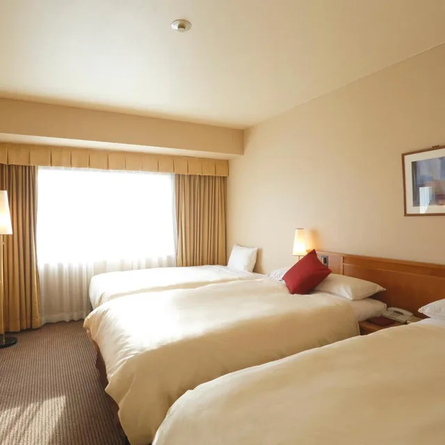 Adjoining, Triple, Smoking, Daiichi Hotel Ryogoku 1/4
