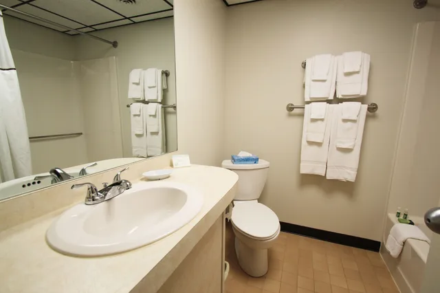 Tree, Suite, King Bed, City View, Sofa، Fireside Inn and Suites Gilford 4/4