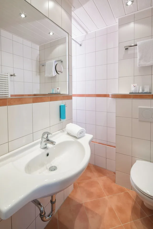 غرفة قياسية بسرير كينج، HOTEL ISARTOR 10/10