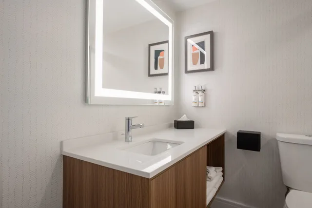 Leisure, King Bed، Holiday Inn Hotel And Suites Winnipeg Downtown 4/4