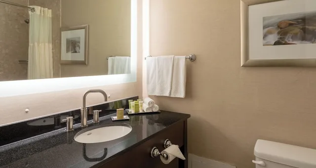 غرفة كلوب بسرير كينج بإطلالة على المرفأ، Hilton Saint John 3/3