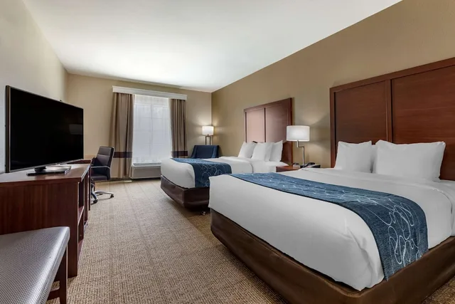 غرفة قياسية بسريرين كوين، Comfort Inn & Suites Paris 2/4