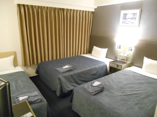 غرفة مفردة بسرير مزدوج للمدخنين، Grand Central Hotel 1/1