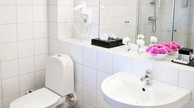 غرفة قياسية بسريرين منفصلين، Home Hotel Mektagonen 1/1