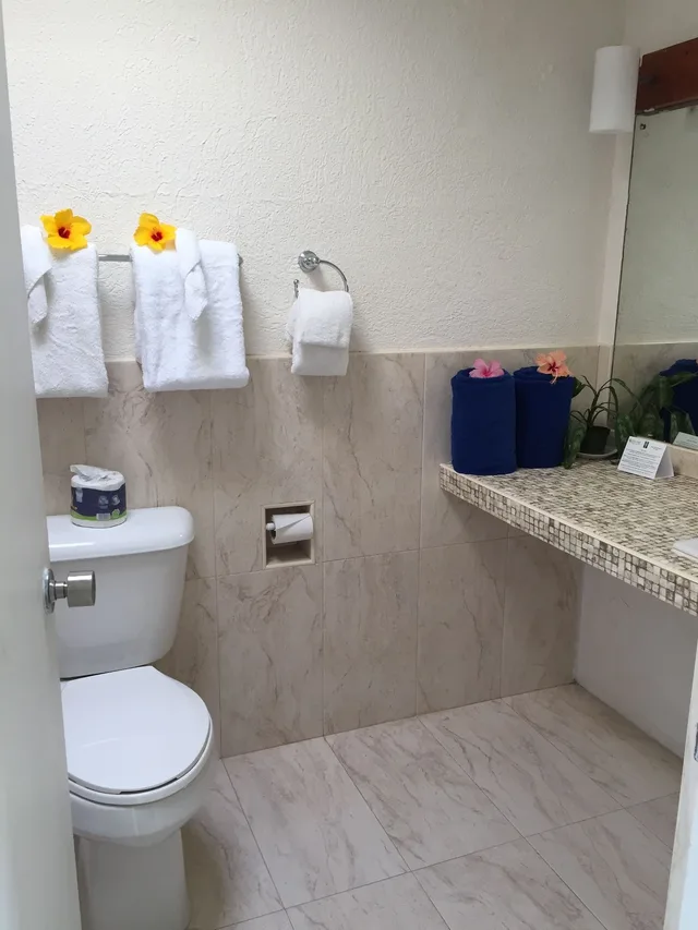 فيلا سوبيريور بسرير كينج بإطلالة على البحر بغرفة نوم واحدة بمطبخ، Goblin Hill Villas 5/7